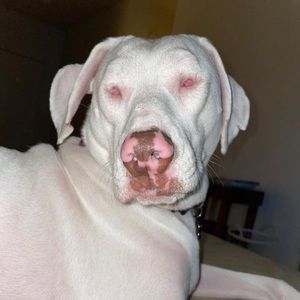 Meet your Posher, Gail